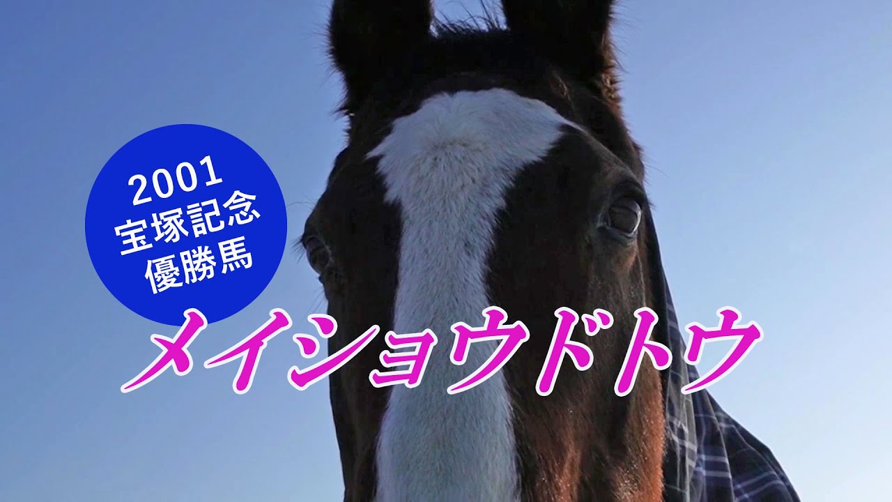 メイショウドトウ Meisho Doto～2001宝塚記念優勝馬