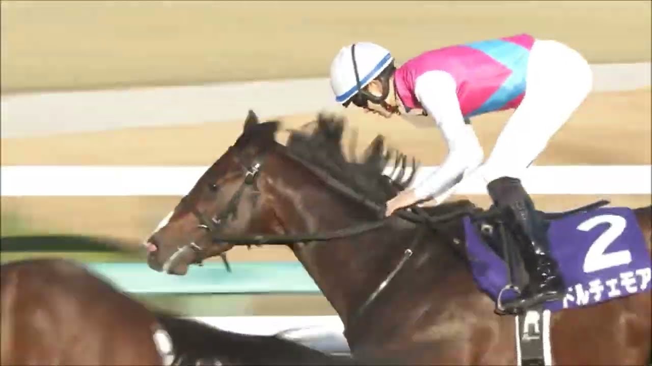 第７４回　朝日杯フューチュリティステークス （ＧⅠ）　ドルチェモア　坂井瑠星　2022.12.18　　出走馬：ダノンタッチダウン、レイベリング、オオバンブルマイ他　実況：吉原功兼　＃キャッスルリバー