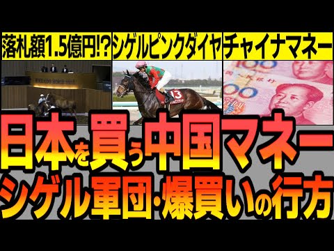 【高すぎる!】桜花賞2着シゲルピンクダイヤが繁殖牝馬セールで1.5億円で中国系と思われるバイヤーに落札されたことと馬産地のバブル…馬主の遺産について語る動画【ゆっくり解説】【私の競馬論】【競馬事件簿】