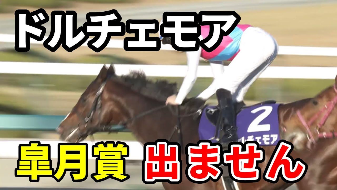 ドルチェモアはＮＨＫマイルカップへ直行　なぜ皐月賞を回避するのか