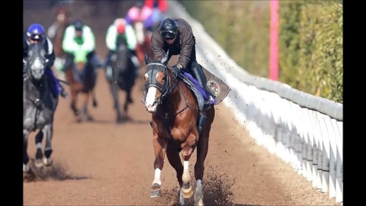 競馬　マイルチャンピオンシップ南部杯　ファンファーレ　高音質