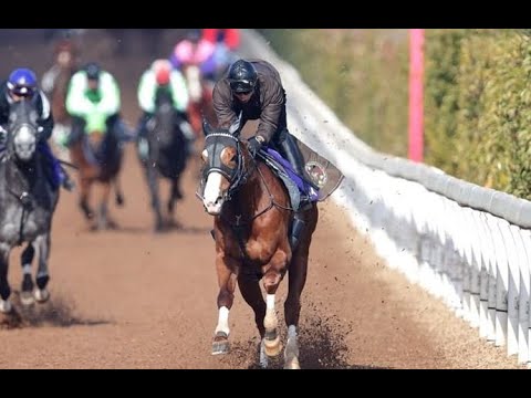 競馬　宝塚記念　Ｇ１　ファンファーレ　高音質