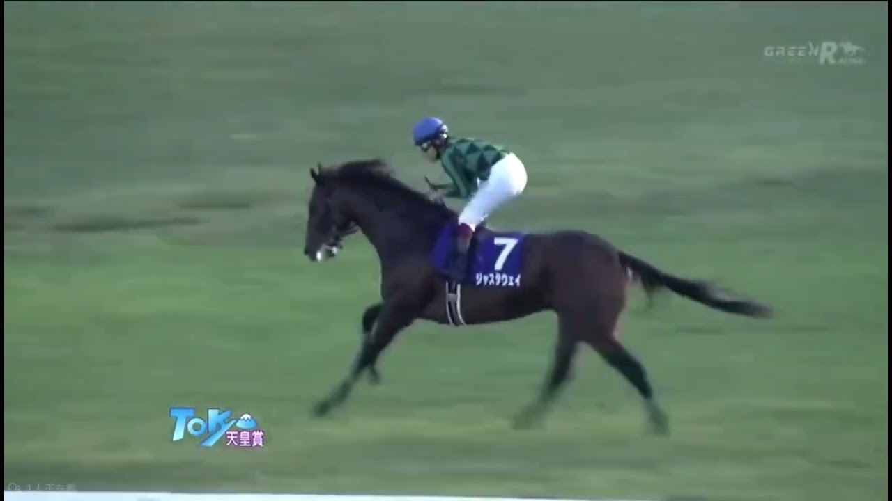 2013 天皇賞（秋）　レース映像
