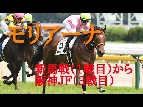 【現役競走馬】モリアーナ　レースまとめ　メイクデビュー(1戦目)～阪神JF(3戦目)