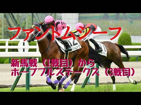 【現役競走馬】  ファントムシーフレースまとめ　メイクデビュー(1戦目)～ホープフルステークス(3戦目)