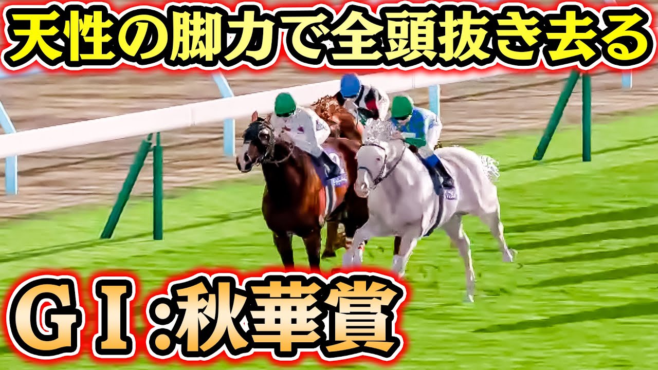 白馬が天性の脚力で秋華賞に殴り込む!!【白馬9】