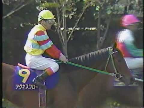 第５０回　桜花賞 （ＧⅠ）　アグネスフローラ　1990.4.8　　出走馬：ケリーバッグ、イクノディクタス、エイシンサニー、ムーンセレナード、ユキノサンライズ、レガシーワイス他