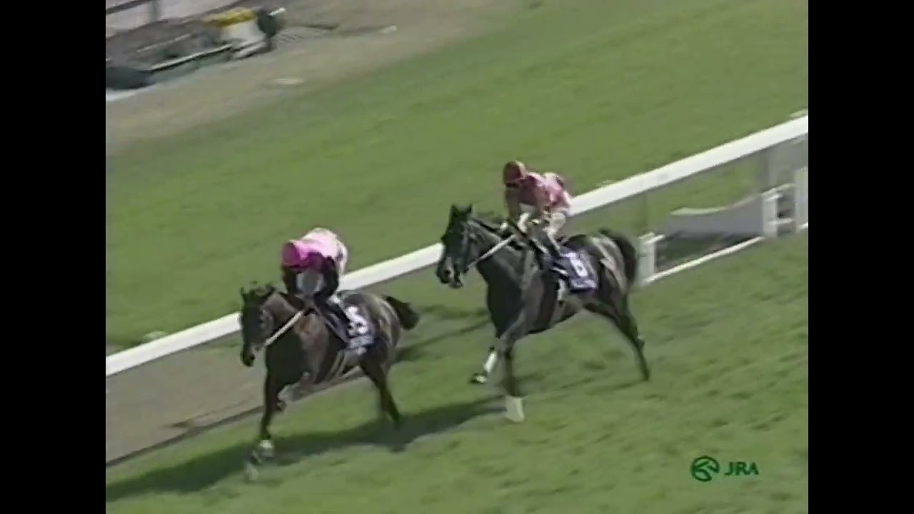 サクラローレル 1996年 第113回天皇賞(春)(GI) (優勝馬：サクラローレル) (実況：ラジオたんぱ版)