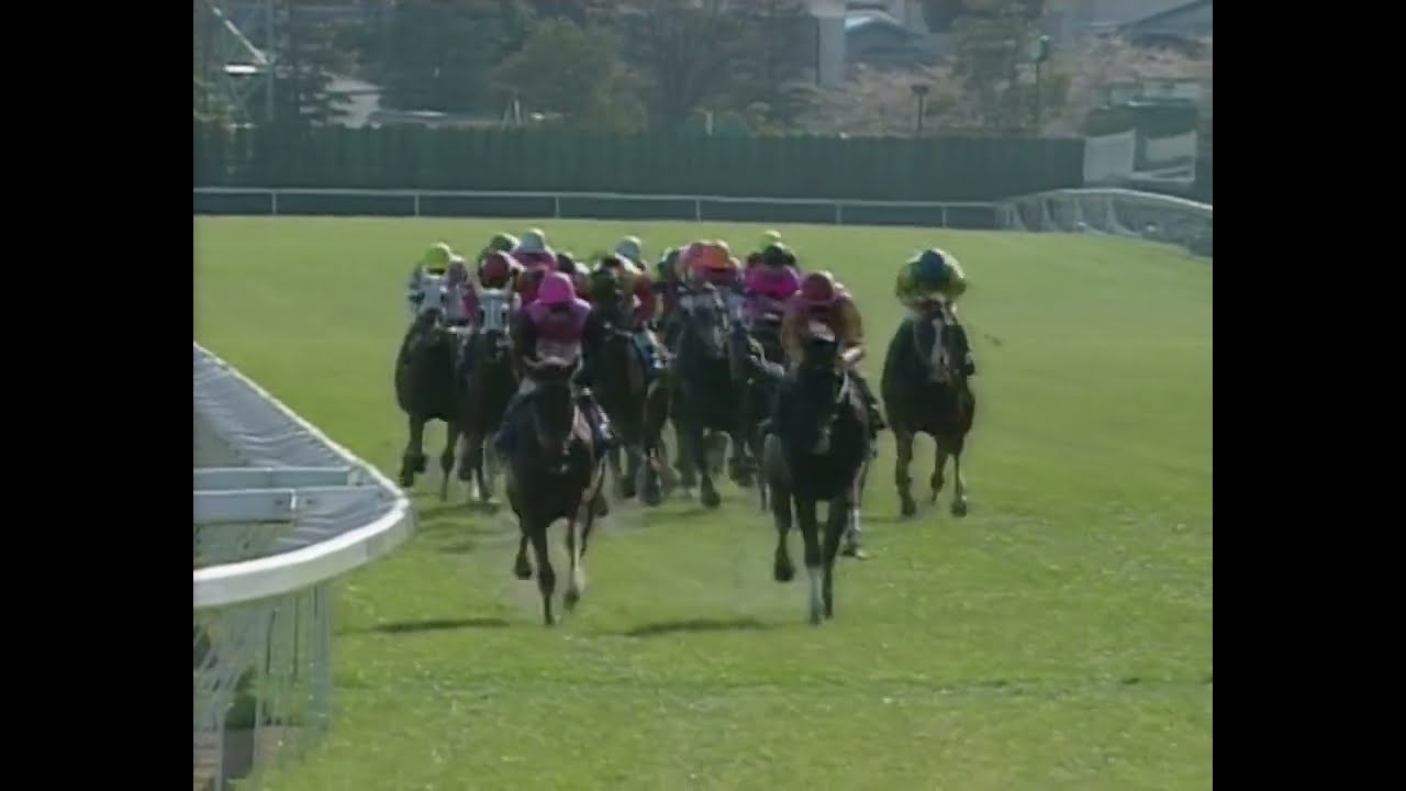 サクラローレル 1996年 第113回天皇賞(春)(GI) (優勝馬：サクラローレル)