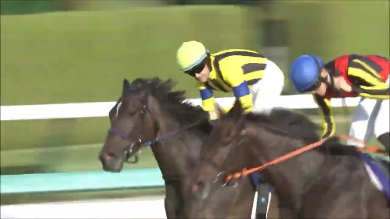 第２７回　秋華賞 （ＧⅠ）　スタニングローズ　坂井瑠星　2022.10.16　　出走馬：スターズオンアース、ナミュール、アートハウス、プレサージュリフト、ライラック他