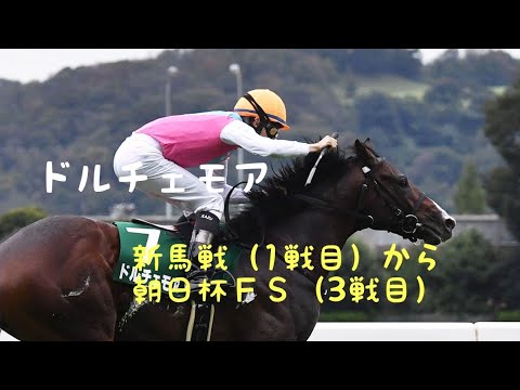 【現役競走馬】ドルチェモア成績まとめ　メイクデビュー(1戦目)～朝日杯フューチュリティステークス(3戦目)