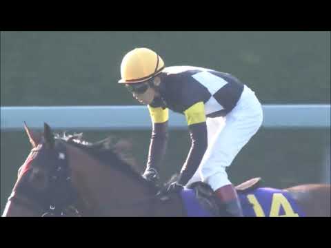 第８３回　菊花賞 （ＧⅠ）　アスクビクターモア　田辺裕信　2022.10.23　　出走馬：ボルドグフーシュ、ジャスティンパレス、ガイアフォース他　　　＃キャッスルリバー