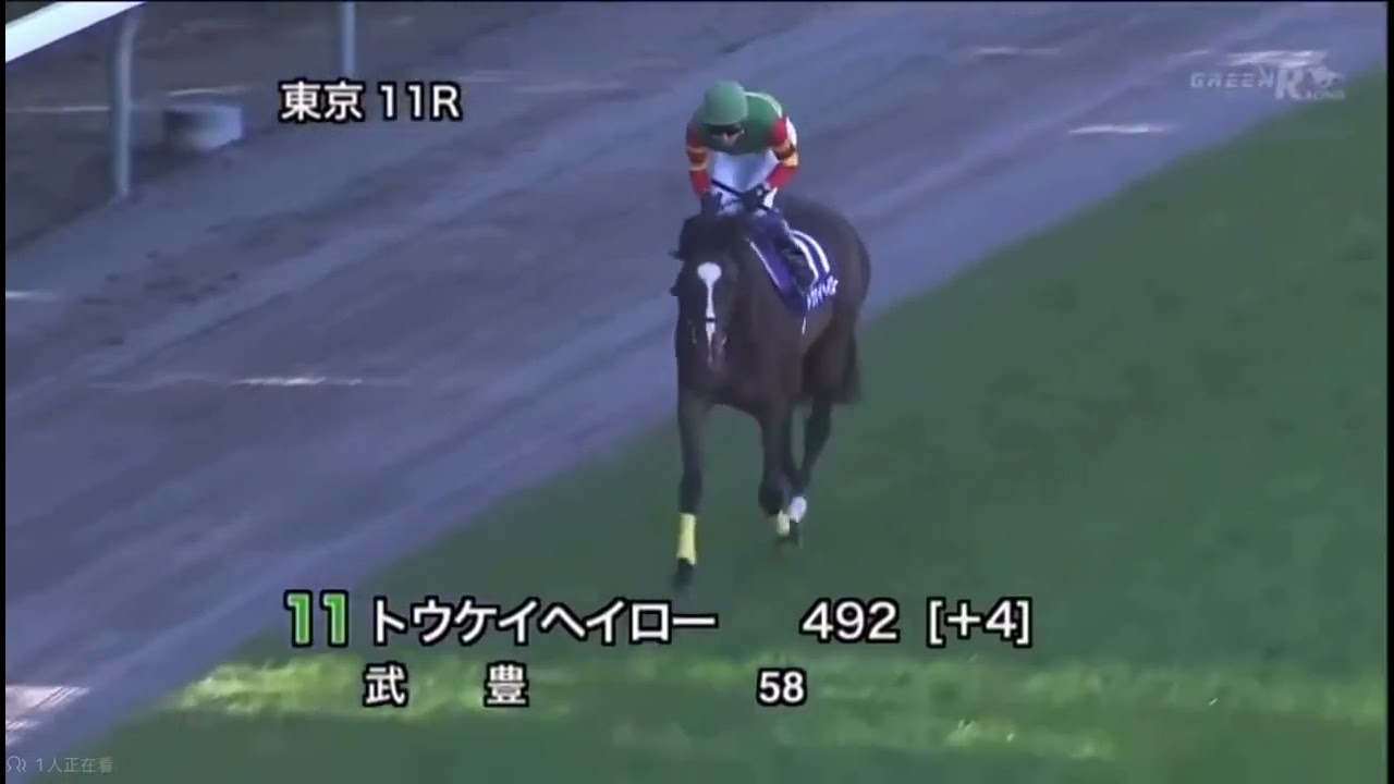 2013 天皇賞（秋）　本馬場入場