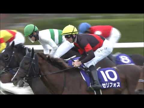 第３９回　マイルチャンピオンシップ （ＧⅠ）　セリフォス　D.レーン　2022.11.20　　出走馬：ダノンザキッド、ソダシ、ジャスティンカフェ、ウインカーネリアン他　　実況：岡安譲