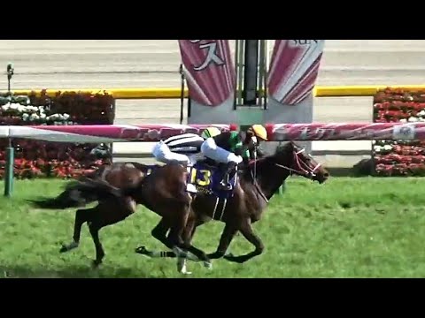 オークス　1着ラヴズオンリーユー号（M.デムーロ騎手）&ファンファーレ（個人撮影）2019年5月19日（日）東京競馬場