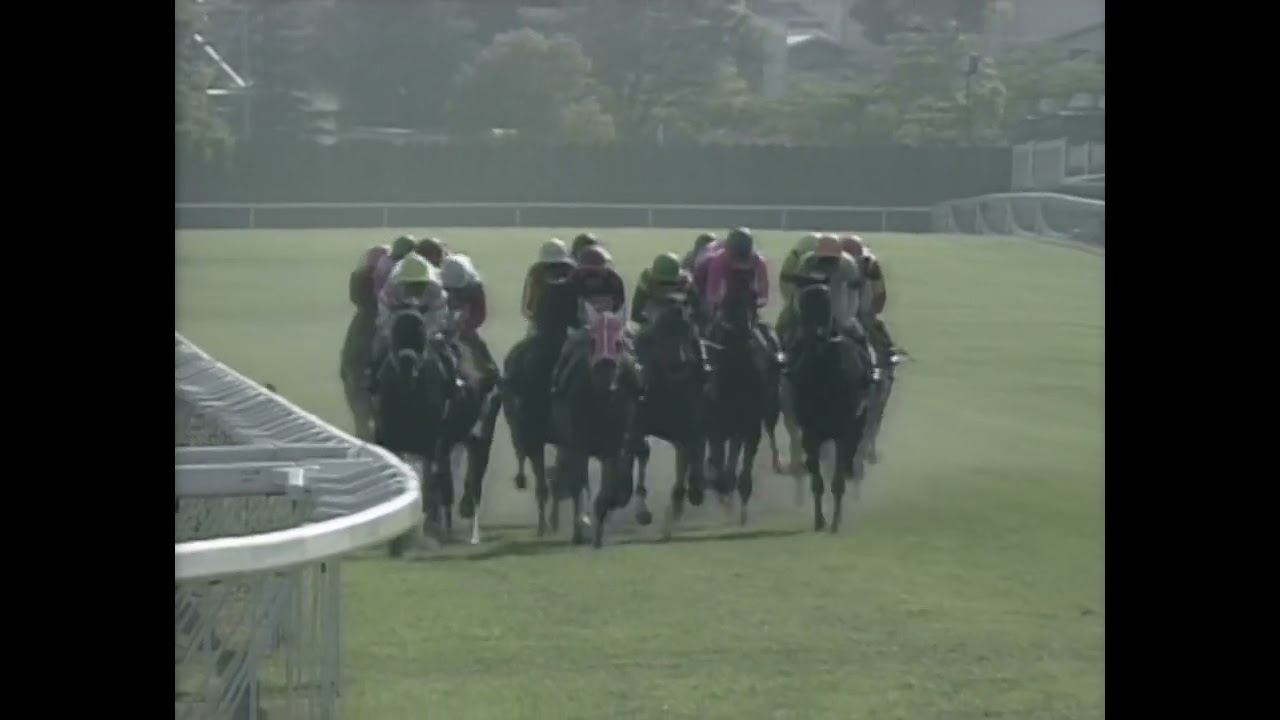 マーベラスサンデー 1997年 第115回天皇賞(春)(GI) (優勝馬：マヤノトップガン)