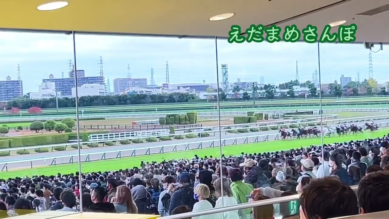2022.11.20 阪神競馬場 11R マイルチャンピオンシップ