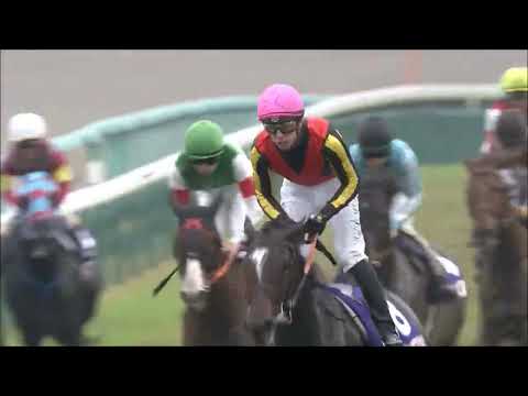 第４７回　エリザベス女王杯 （ＧⅠ）　ジェラルディーナ　C.デムーロ　2022.11.13　　出走馬：ナミュール、デアリングタクト、アカイイト、ピンハイ、スタニングローズ他　　#キャッスルリバー