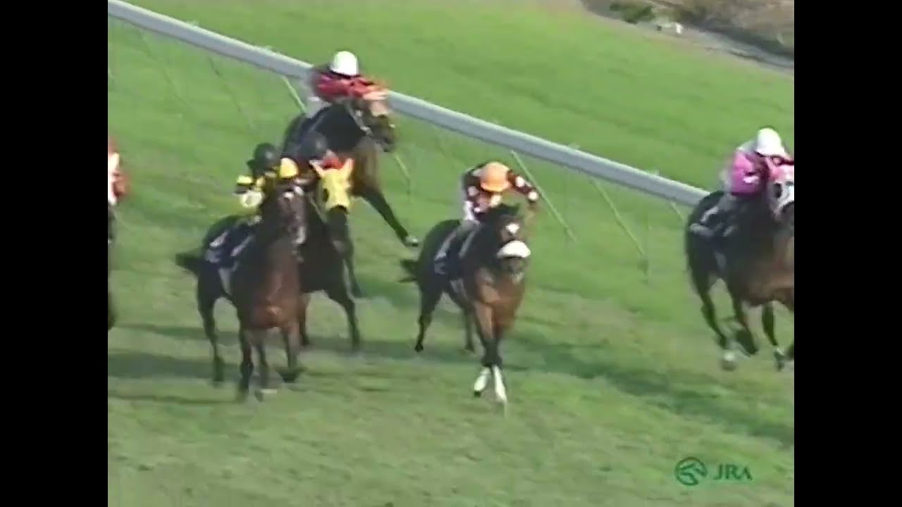 マーベラスサンデー 1996年 第114回天皇賞(秋)(GI) (優勝馬：バブルガムフェロー) (実況：ラジオたんぱ版)