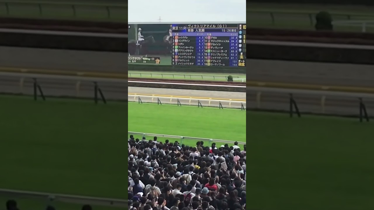 大歓声の入場シーン🎉デアリングタクト競馬ヴィクトリアマイル🏆　#shorts