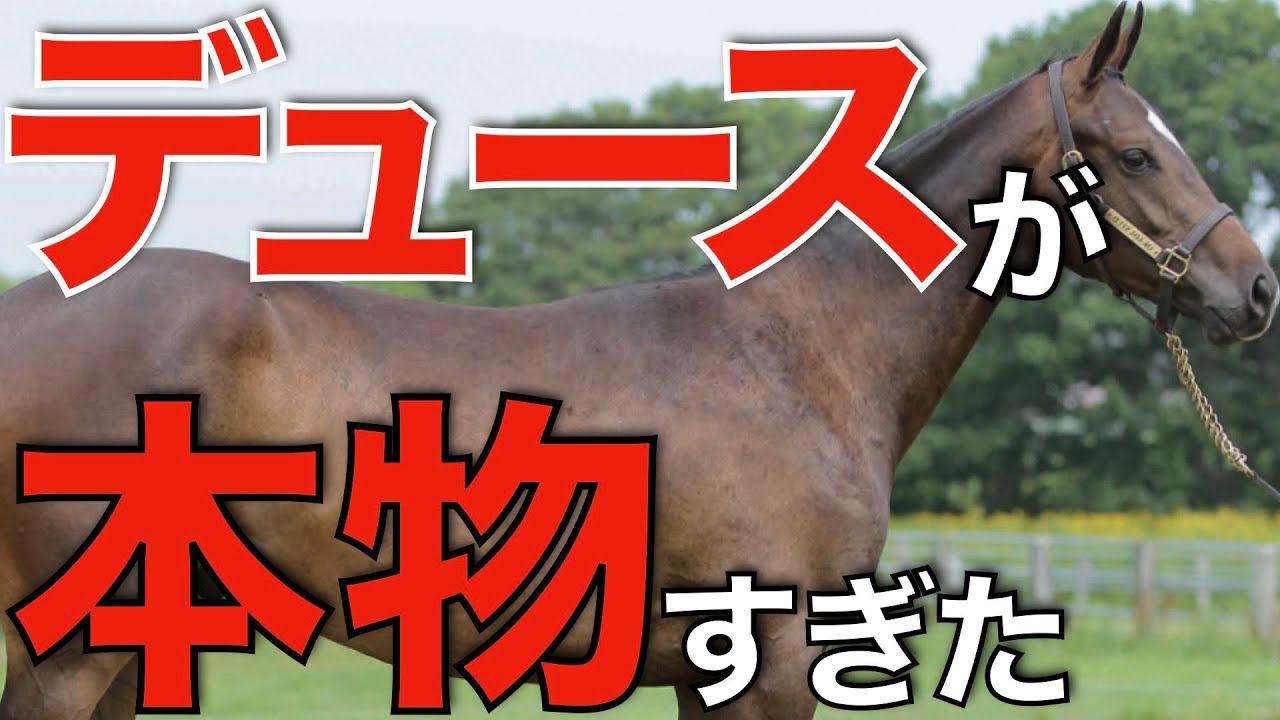 【実力証明】ドウデュースはやはり本物だった…。イクイノとの再戦が楽しみすぎる。