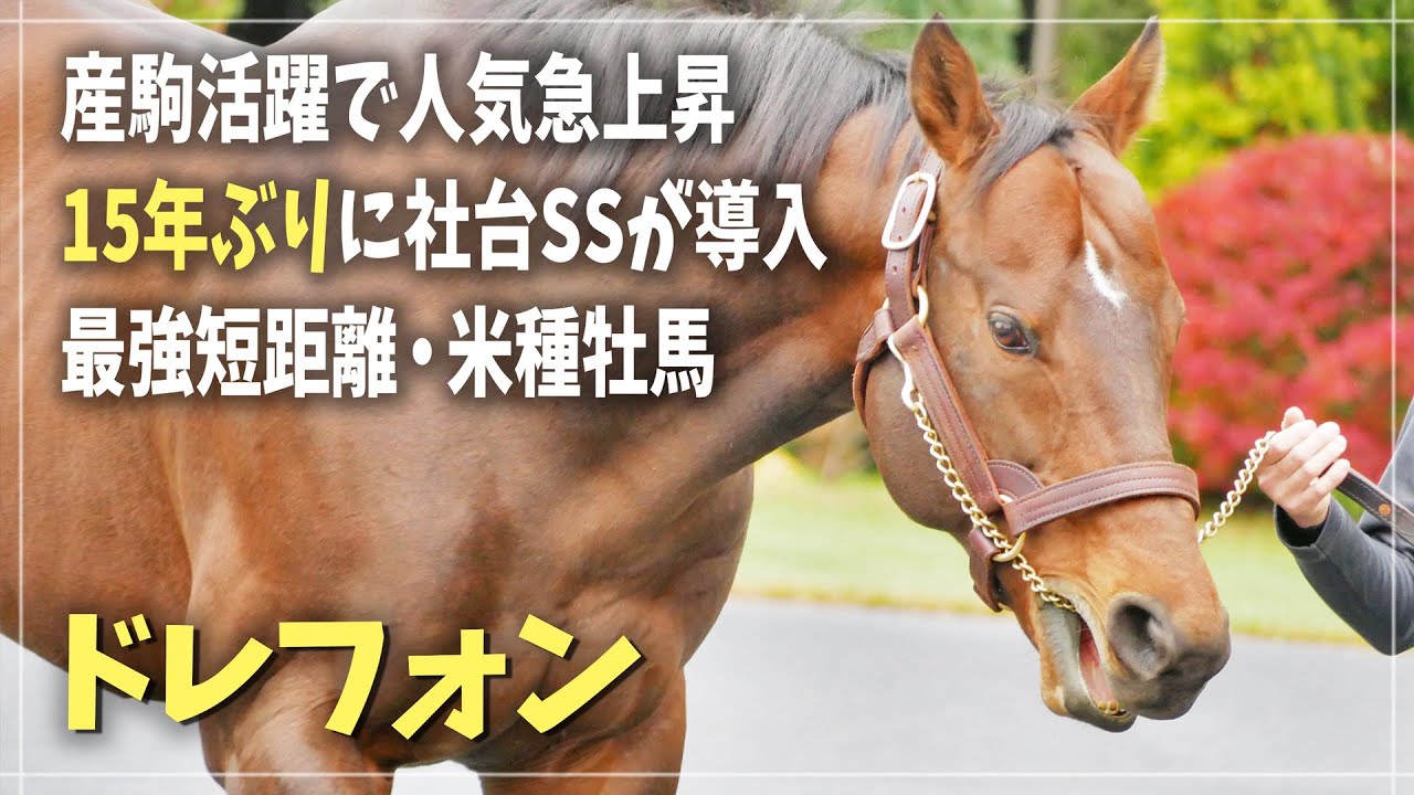 【ジオグリフの父】初年度産駒がG1皐月賞馬となったアメリカG1勝ち馬【ドレフォン】