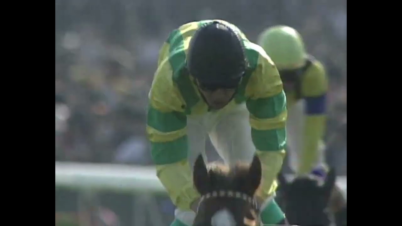 サクラローレル 1997年 第115回天皇賞(春)(GI) (優勝馬：マヤノトップガン)