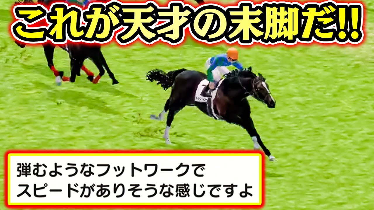 ついに天才新馬がデビュー!!脚力がバケモノ級でした【白馬38】