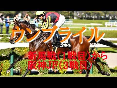 【現役競走馬】ウンブライル　レースまとめ　メイクデビュー(1戦目)～阪神JF(3戦目)