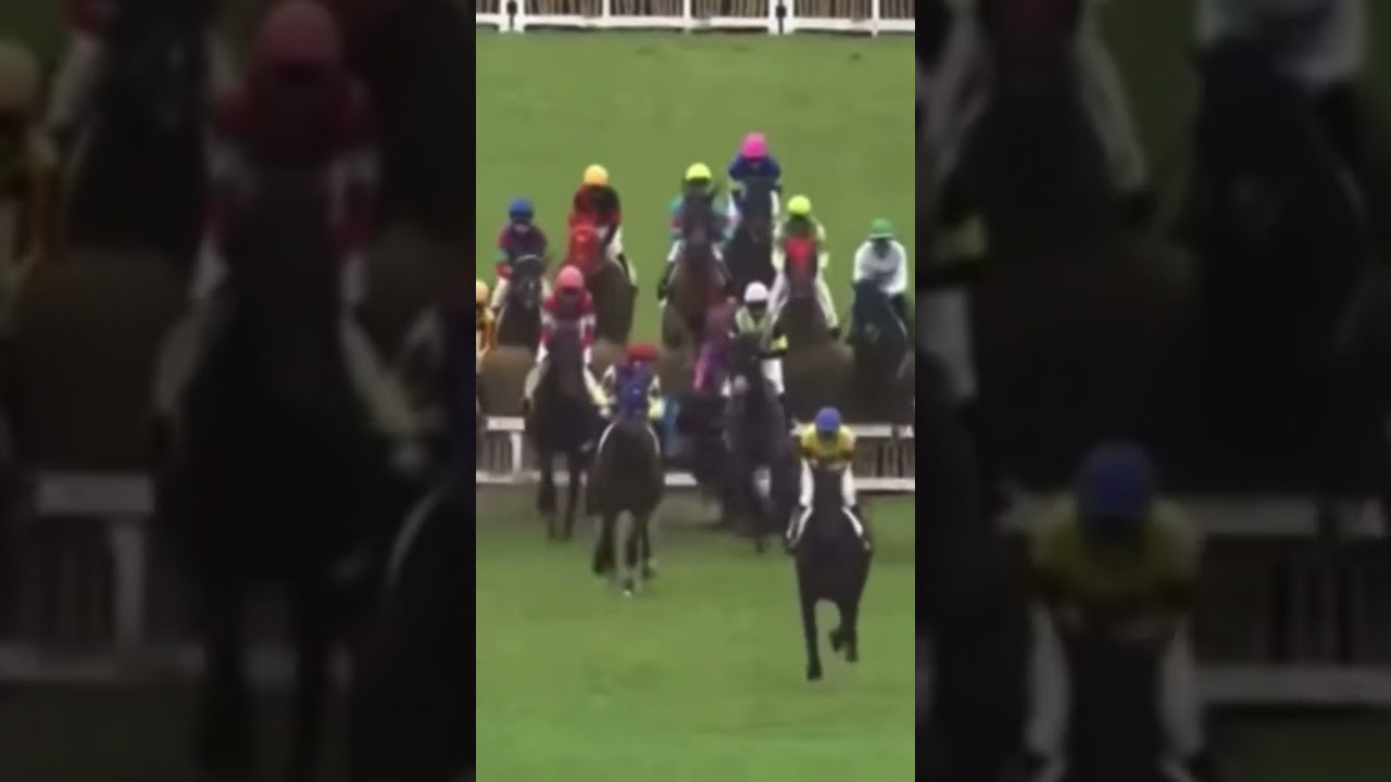 飛越できず落馬してしまう