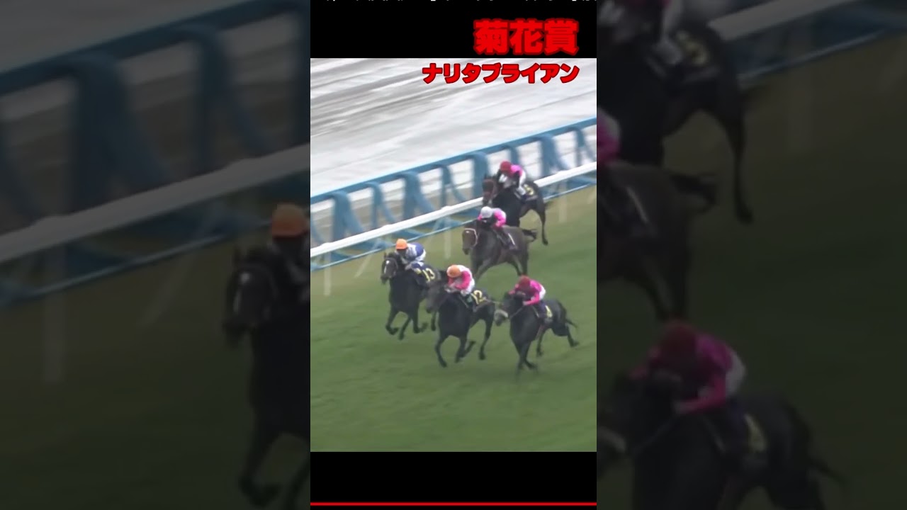菊花賞ナリタブライアン　#shorts