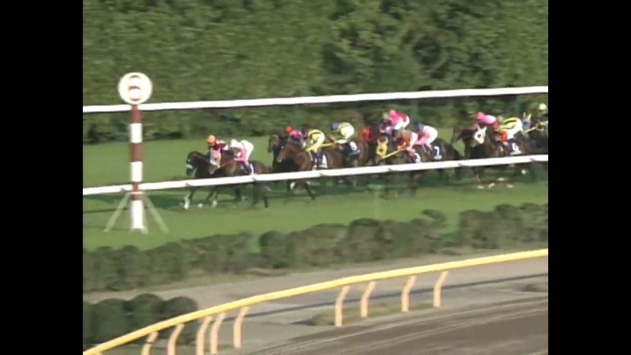 サクラローレル 1996年 第114回天皇賞(秋)(GI) (優勝馬：バブルガムフェロー)