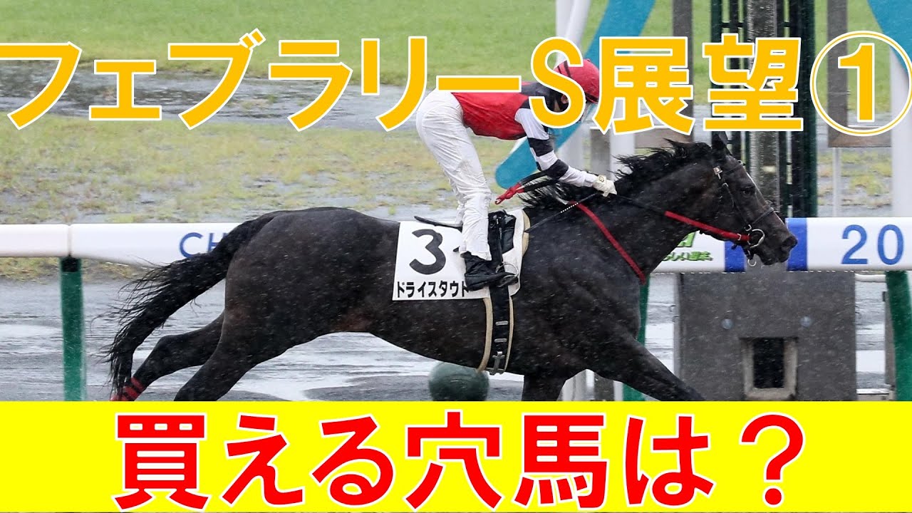 フェブラリーステークス 2023 1週前展望①　現時点で狙える穴馬はいるか？
