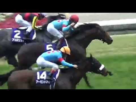 安田記念　1着インディチャンプ号（福永祐一騎手）&ファンファーレ（個人撮影）2019年6月2日（日）東京競馬場