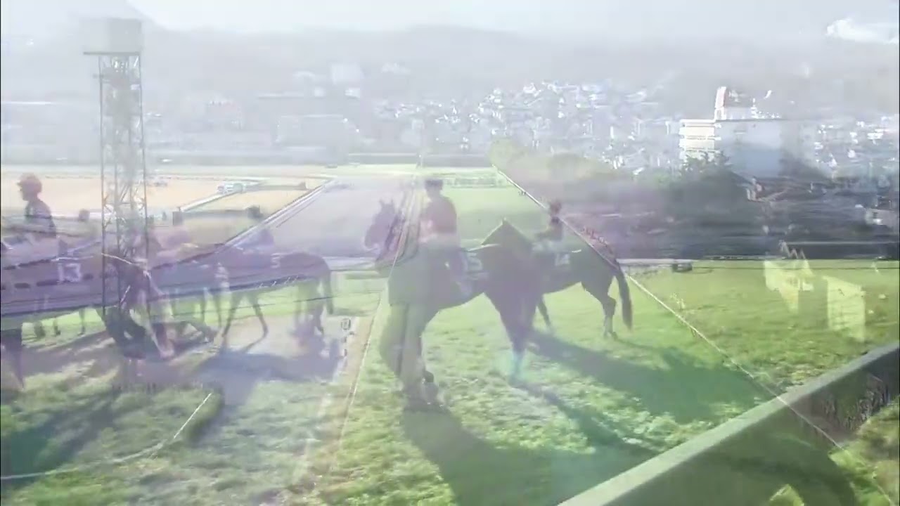 2006 阪神ジュベナイルフィリーズ