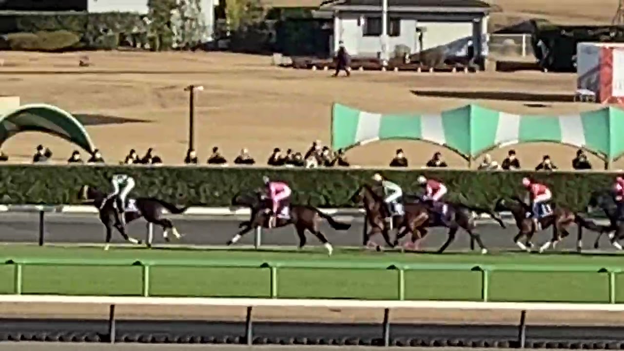 中山10レース  中山大障害(J・GI) ニシノデイジー