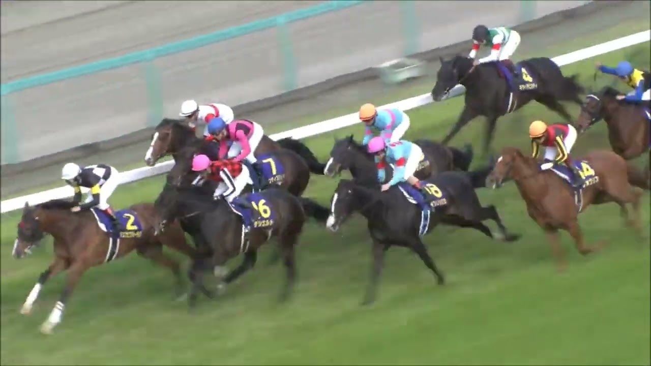第８２回　皐月賞 （ＧⅠ）　ジオグリフ　福永祐一　2022.4.17　　出走馬：ドウデュース、イクイノックス、キラーアビリティ、オニャンコポン、　　＃キャッスルリバー