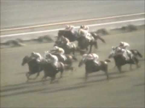1973年京都記念（秋）　メジロスイセイが天皇賞馬ヤマニンウェーブを捉える　～KBS京都実況