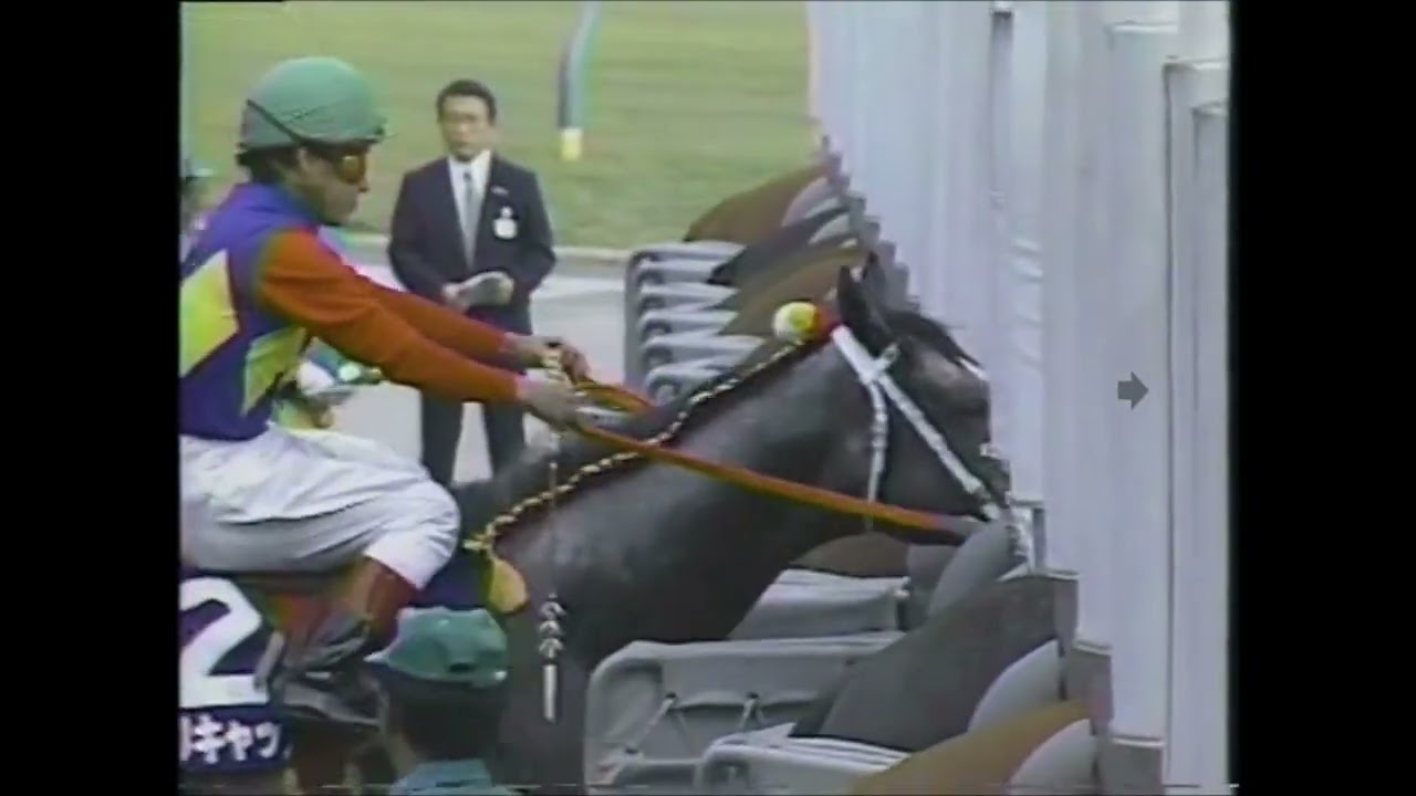 【無敵の舞、ご覧あれ】第１０２回　天皇賞（秋） （ＧⅠ）　ヤエノムテキ　岡部幸雄　1990.10.28　　出走馬：オグリキャップ、オサイチジョージ、バンブーメモリー、ダイユウサク他　＃キャッスルリバー