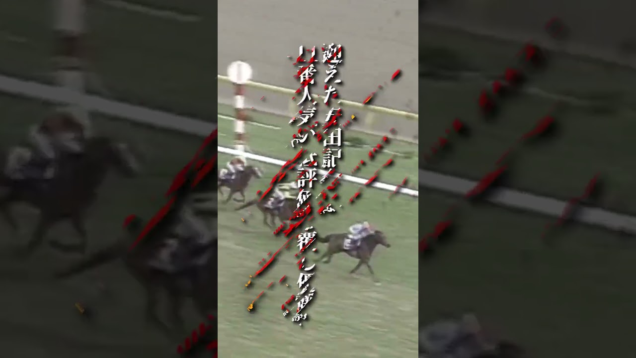 ゼファー魂！並べば勝てる勝負根性で多くのファンを熱狂させた風の神　#shorts #競馬