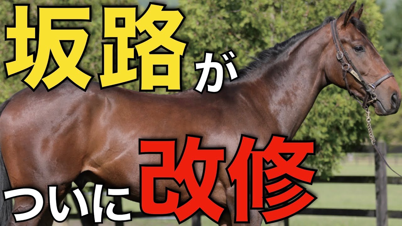 【朗報きた】美浦の坂路がついに改修へ！西高東低は変わるか。