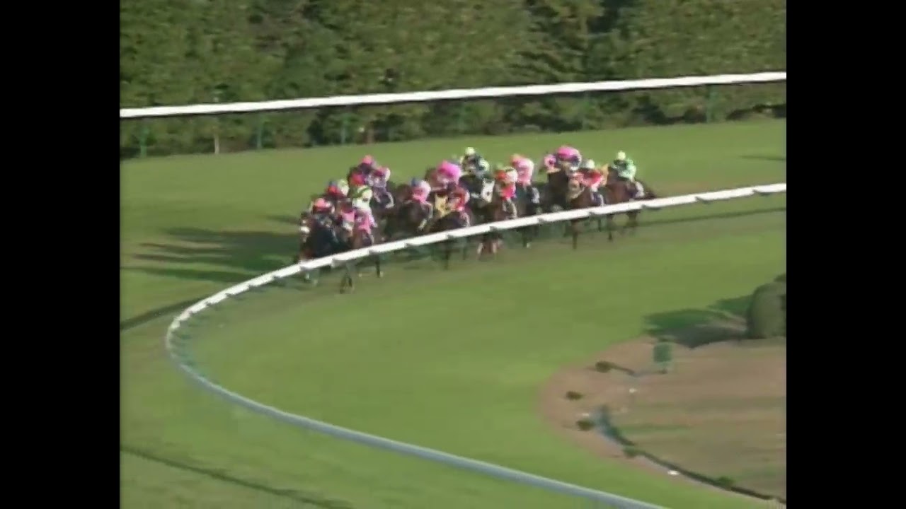 マーベラスサンデー 1996年 第114回天皇賞(秋)(GI) (優勝馬：バブルガムフェロー)