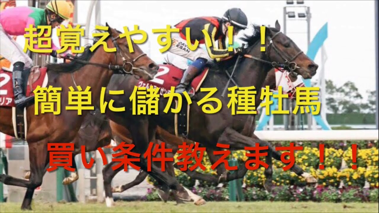 【競馬】冬競馬。施行数の多いダート短距離で儲かる種牡馬を買えば勝てる説【競馬検証】
