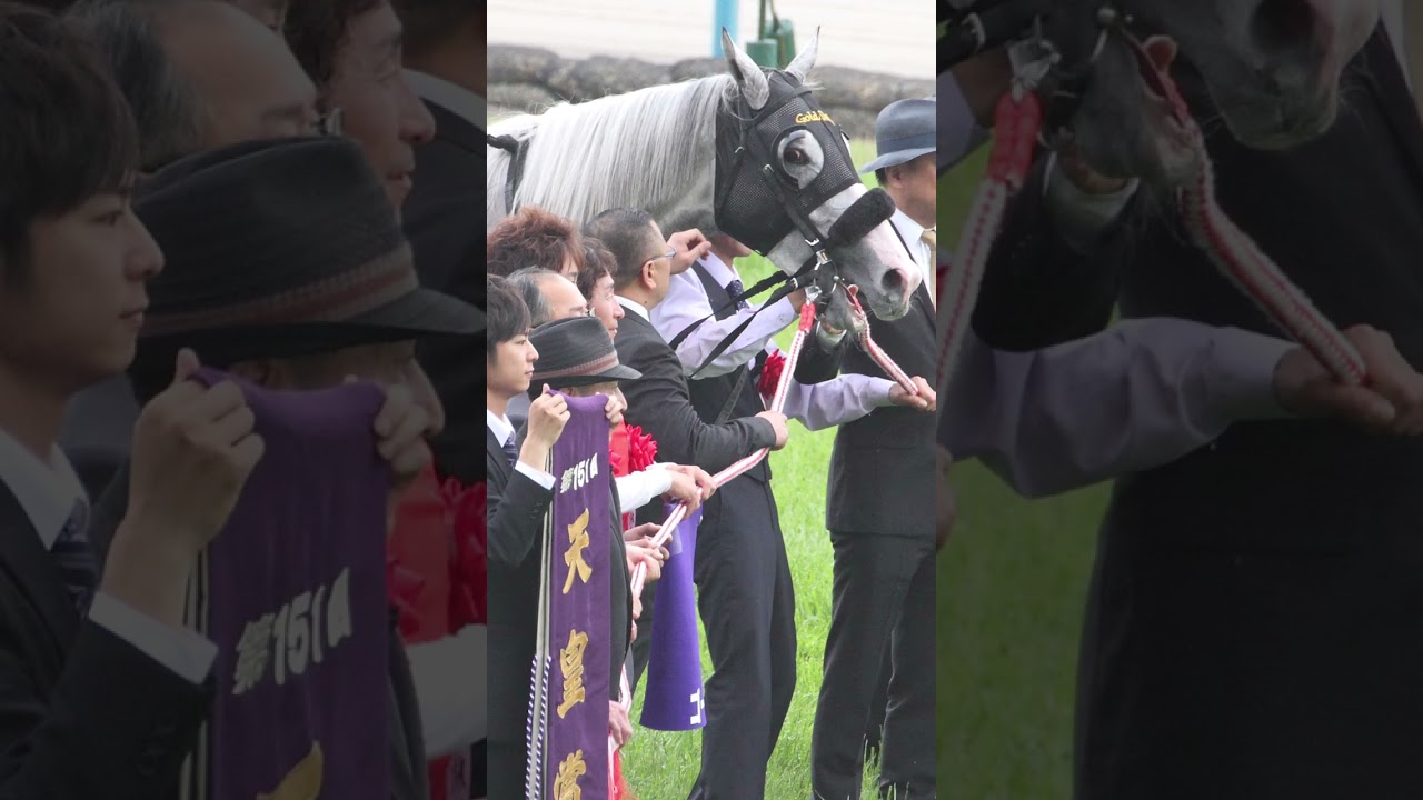 ゴールドシップ 天皇賞（春）