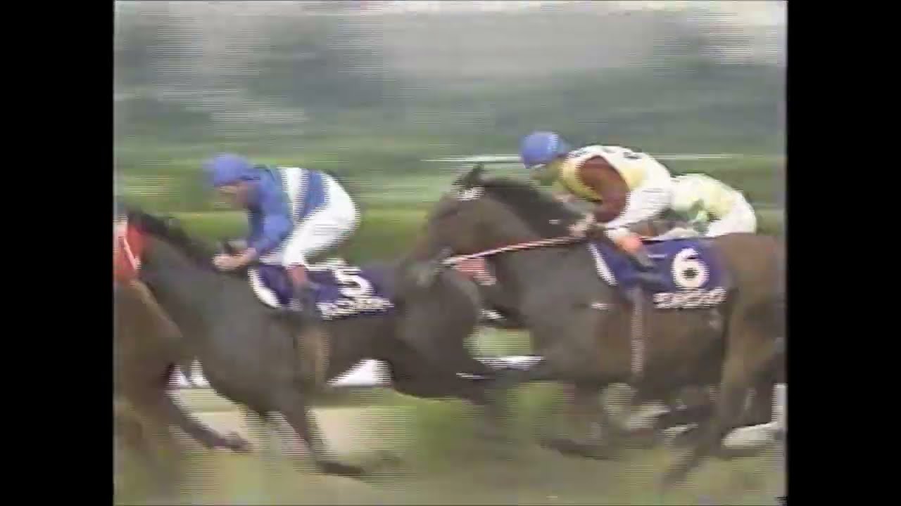 【マイルの帝王ｖｓ白い稲妻】　第２９回　宝塚記念 （ＧⅠ）　タマモクロス　1988.6.12　　出走馬：ニッポーテイオー、スダホーク、ランドヒリュウ、メジロデュレン、ランニングフリー他　　実況：杉本清