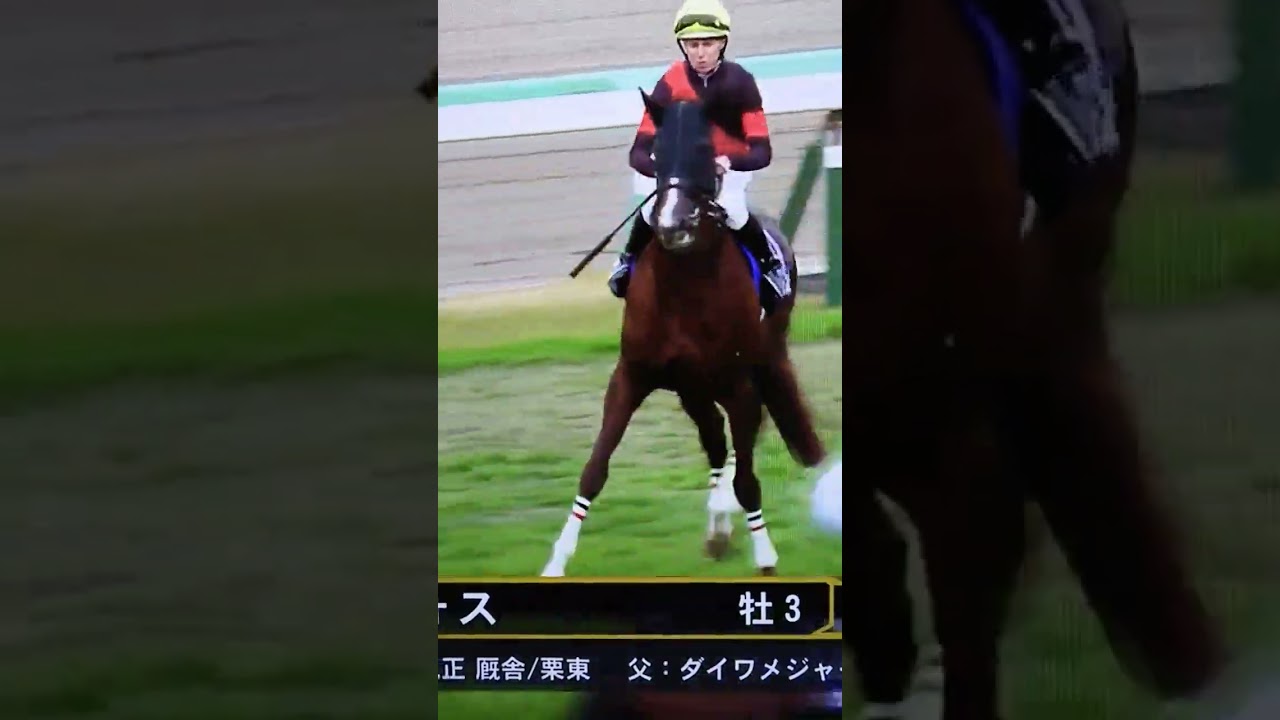 セリフォス応援@2022年マイルチャンピオンシップ(G1)