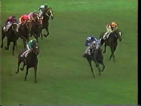 第52回　東京優駿（日本ダービー） （ＧⅠ）　シリウスシンボリ　1985.5.26　　出走馬：スダホーク、サクラサニーオー、スクラムダイナ、ランドヒリュウ、ビンゴチムール　　実況：盛山毅