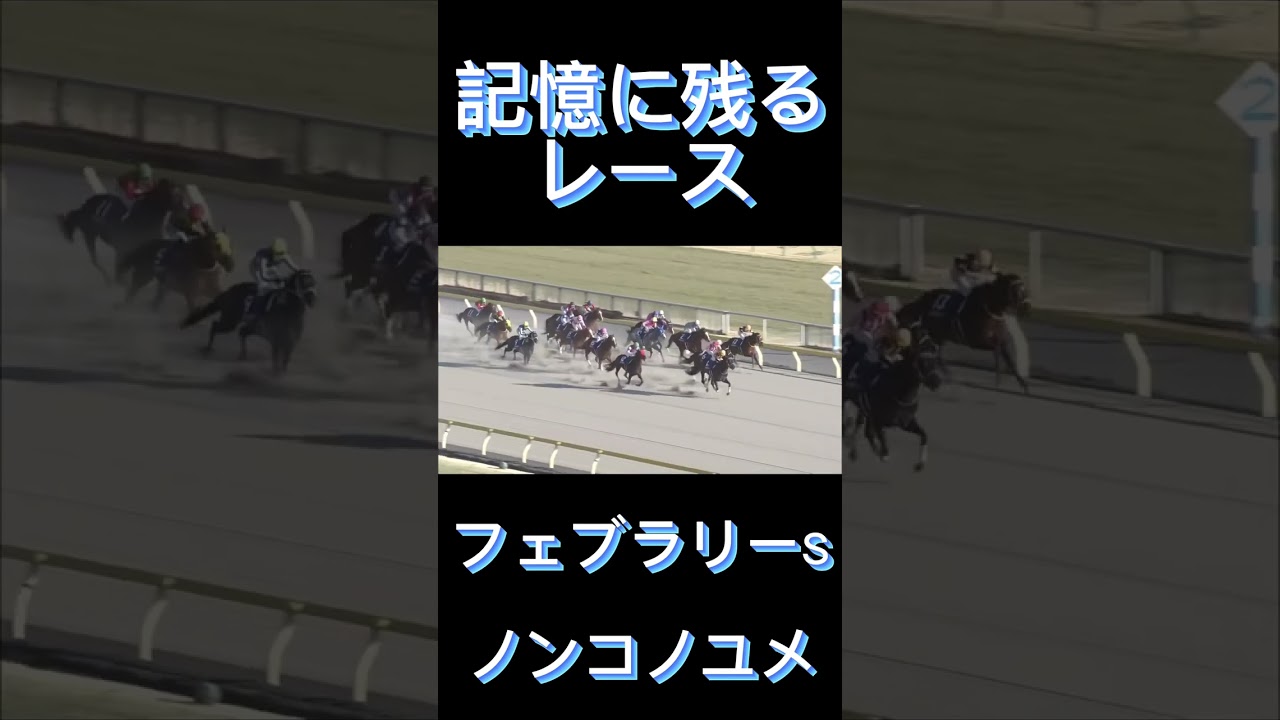 これは凄い！フェブラリーSのノンコノユメ#shorts #競馬 #スポーツ #ウマ娘
