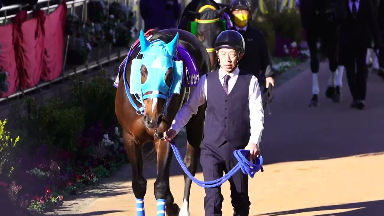 【現地撮影】引退当日のパドックのオジュウチョウサン。中山大障害2022.12.24