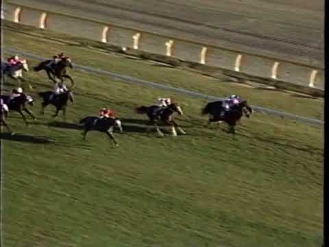 第１００回　天皇賞（秋）（ＧⅠ）　スーパークリーク　1989.10.29　　出走馬：メジロアルダン、 イナリワン、ミスターシクレノン、ヤエノムテキ、 ディクターランド、フレッシュボイス他